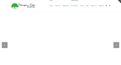Desktop Screenshot of championoaksranch.org